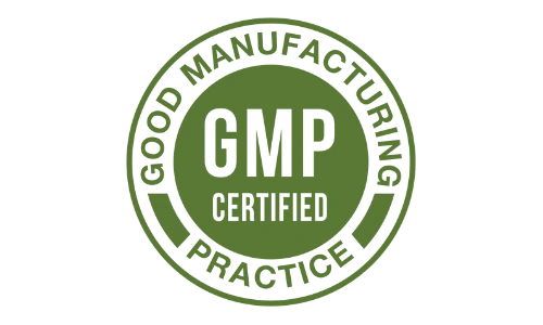 GMP manufacturing