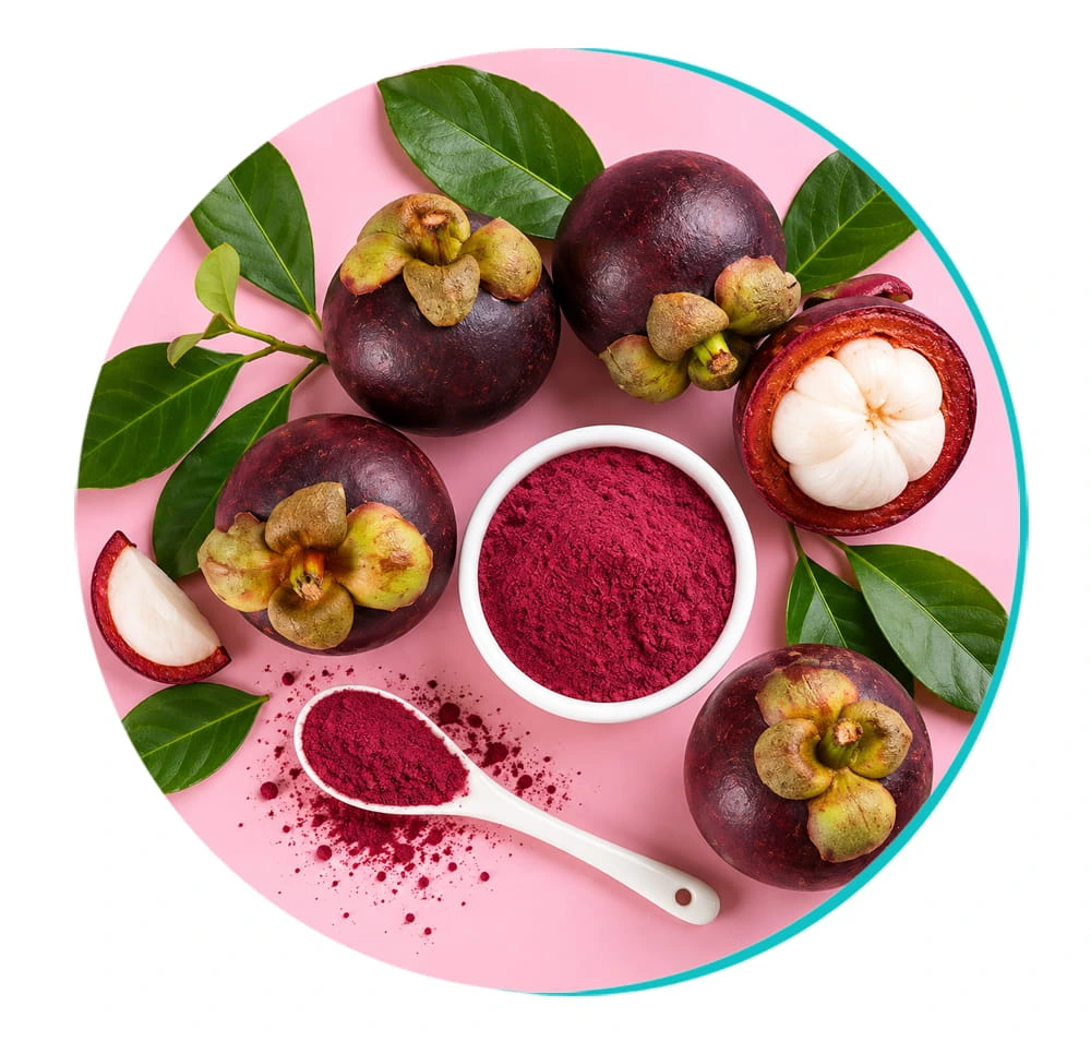 Ingredient illustration for Mangosteen Powder