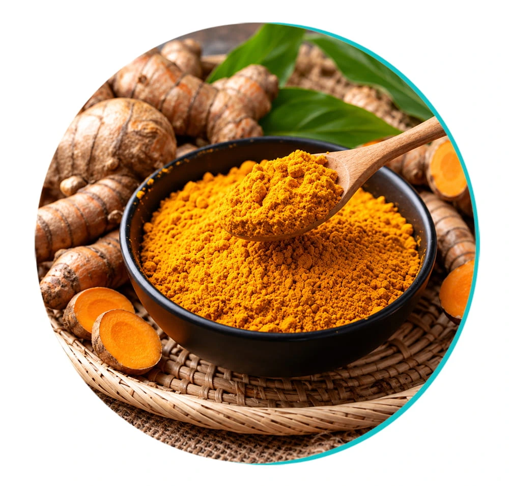 Ingredient illustration for Turmeric Extract